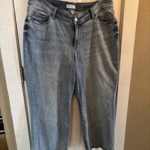 Judy Blue Wide Leg Denim, light blue, size 20W with frayed hem.